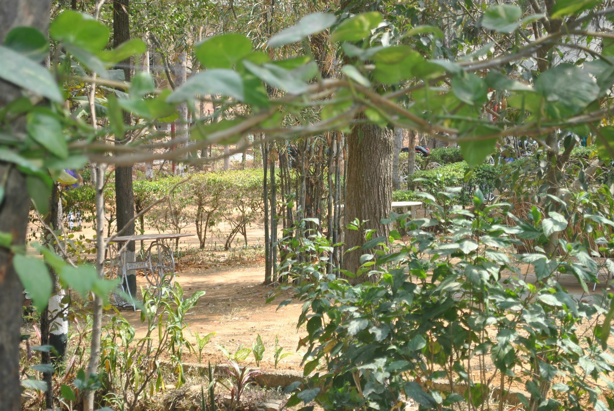Eagle Ridge Resort Bangalore Exteriör bild